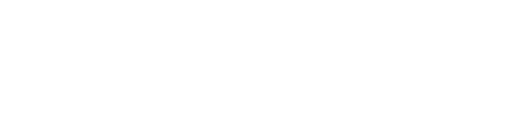 ViewPark Ventures